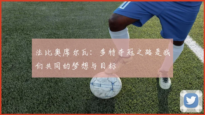 法比奥席尔瓦：多特夺冠之路是我们共同的梦想与目标
